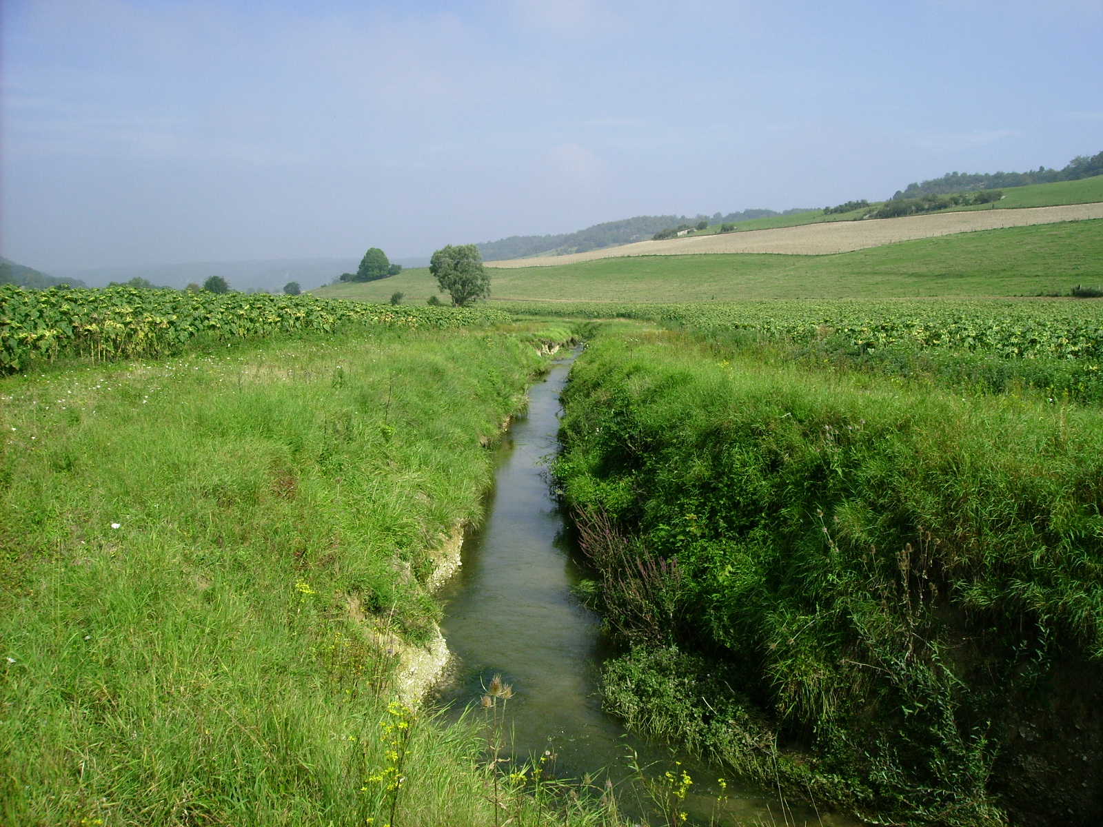 Cours d'eau incisé, absence de matériaux alluvionnaires, faciès d'écoulements peu diversifiés